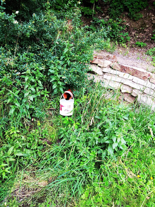 studánka Na cestě (12146) - červen 2018