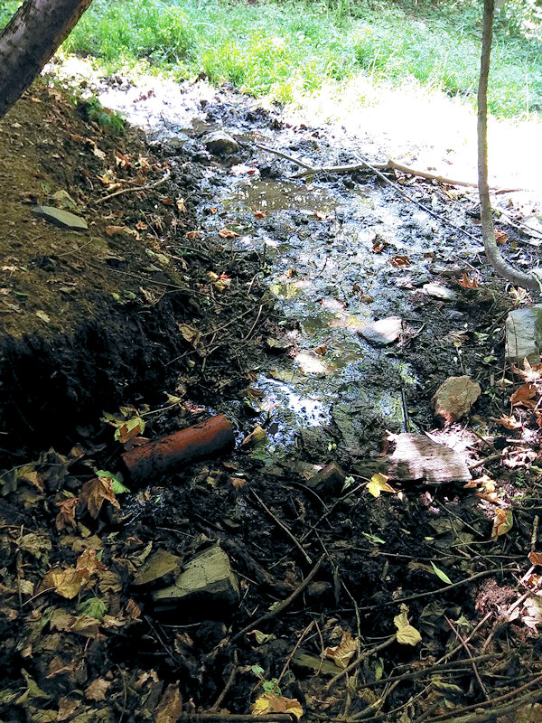 studánka V Kulině (12220) - červenec 2018