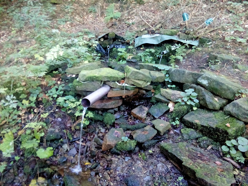 studánka Ježibabka (12353) - září 2018