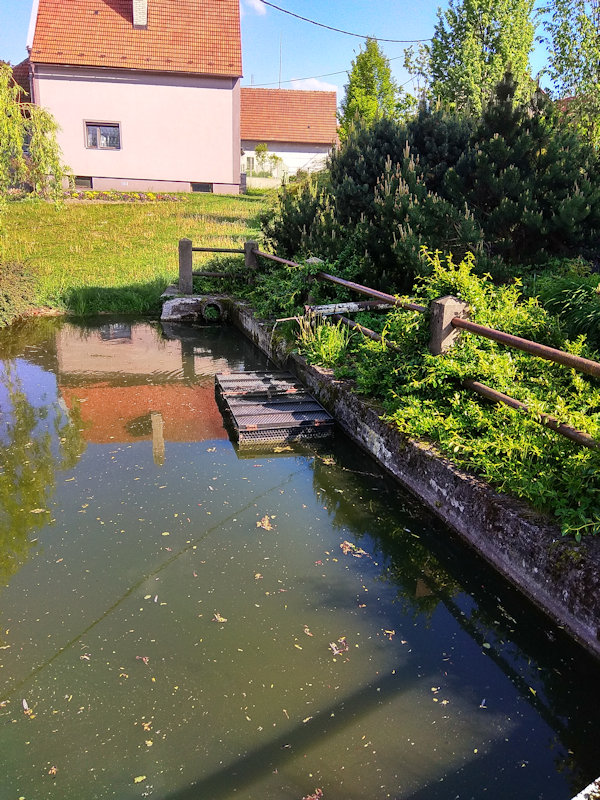 pramen Nad rybníčkem (12629) - květen 2019